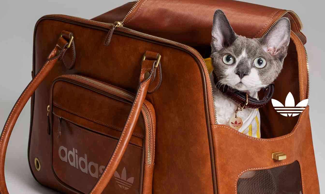 adidas Originals 宠物系列首度亮相