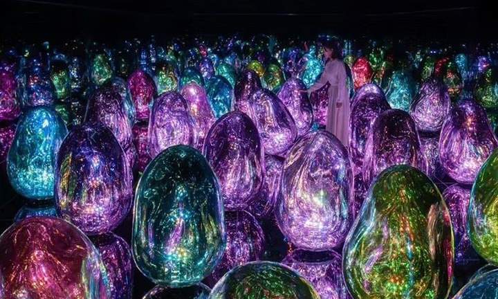 京都teamLab生物漩涡美术馆盛大开幕，超万平沉浸式艺术空间震撼亮相