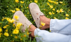 勃肯鞋持续热销 第三季度收入达7.39亿美金增长16%