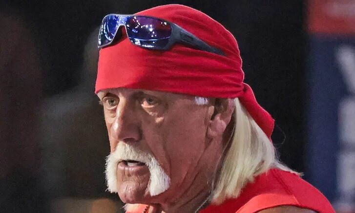 WWE 传奇胡克·霍根去世