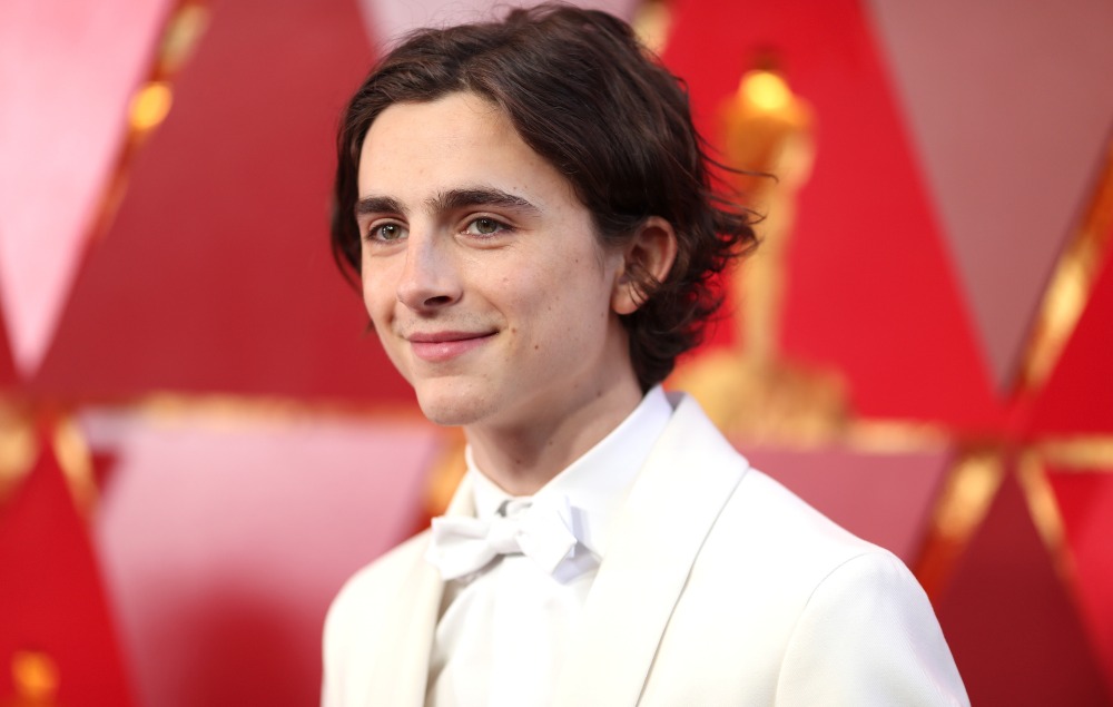 从文艺男神到街头先锋：甜茶形象争议背后的文化转型(图7)