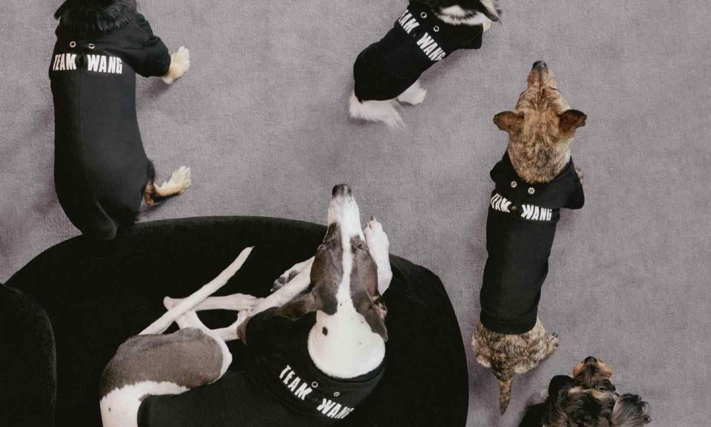 TEAM WANG design 增添全新支线「FRIENDS」