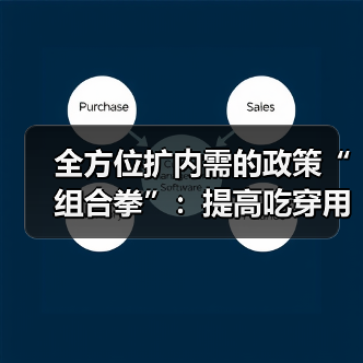 提升吃穿用消费品质的组合政策与实践路径(图3)