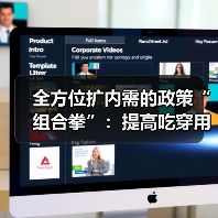提升吃穿用消费品质的组合政策与实践路径(图1)