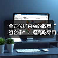 提升吃穿用消费品质的组合政策与实践路径(图4)