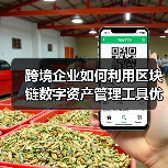 跨境企业区块链数字资产管理工具的应用价值(图4)