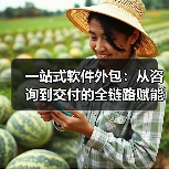 一站式软件外包：从咨询到交付的全链路赋能(图4)