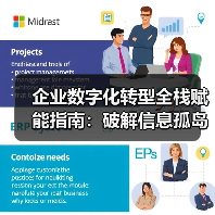 企业数字化转型全栈赋能指南：破解信息孤岛与效率瓶颈(图4)